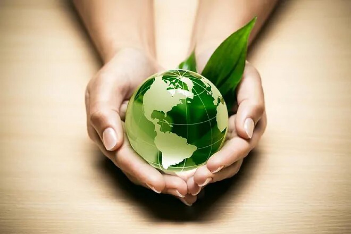 La sostenibilidad se consolida con eje transversal del negocio de las empresas
