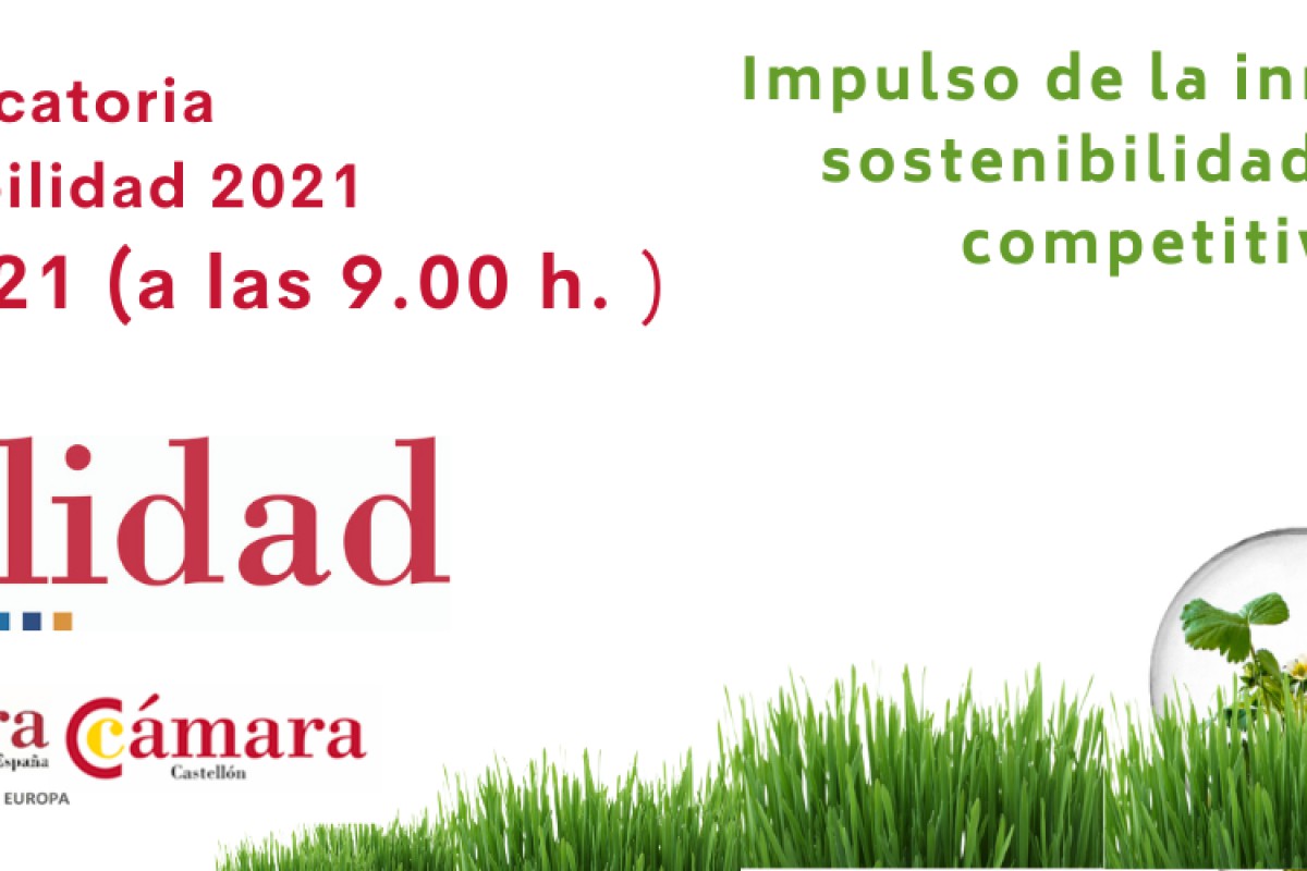 PROGRAMA SOSTENIBILIDAD (Plazo del 8 de junio al 30 de septiembre de 2021 o hasta agotarse los fondos)