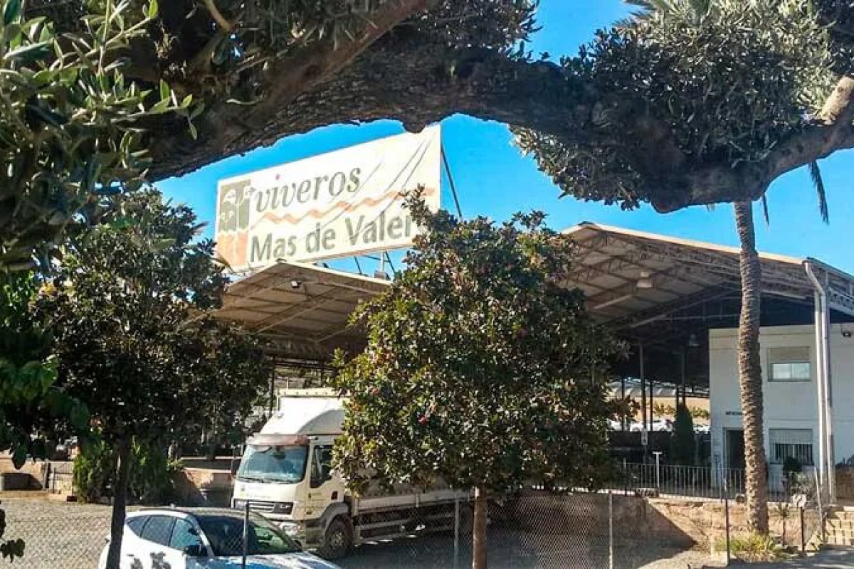Viveros Mas de Valero es distinguida como empresa CEPYME 500 por segundo año