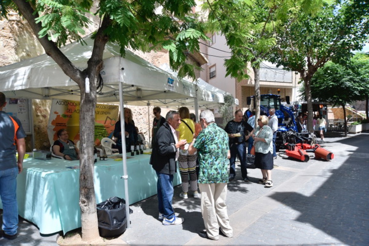 SE CELEBRA CON GRAN ÉXITO LA VII FERIA EMPRESARIAL DEL ALTO PALANCIA. Foto 2