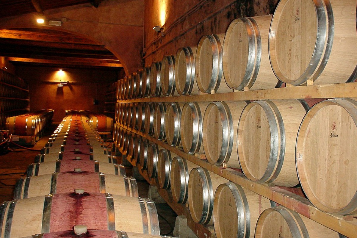 Ajudes a la destil·lació de subproductes de vinificació (termini 22/02/2024-19/07/2024)